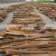 Best selling 100% natural split cassia from Vietnam - High quality