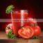Early Maturity Hybrid Tomato Seeds Best Quality for Plant