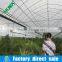 Film Cover Material Multi Span Agricultural Type Tomato greenhouses