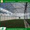 2017 Popular UV block treatment commercial plastic film cheap greenhouse