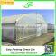 Steel frame tunnel greenhouse with door