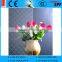 3.5mm Patterned/Rolled/Figured Glass(Gonshi; Rose; Raindown; Diamond; Mistlite; Oceanic; Chinchilla)