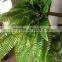 Artificial Fern