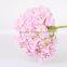 Top Selling Fresh Cut Flower Hydrangea Natural Flower For Mother's Gift Decorations Wholesale From China