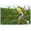 supply wire mesh