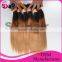 Black Rose Straight Colored Brazilian Ombre Weave Hair, Wholesale Three Tone Ombre Colored Human Hair Extension