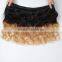 Wholesale 1B/27 Ombre Hair Weaves Body Wave Blonde Virgin Malaysian Human Hair Extension