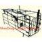Sell Automatic Pig single crate
