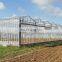 long life galvanized steel frame greenhouse