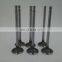 exhaust valve 4981795