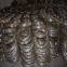 Zinc Coated Galvanize Steel Wire 1.0mm Diameter