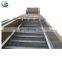 industrial fruit and vegetable washing equipment,pear/peach/strawberry/date/grape/blackberry/lemon bubble washing machine