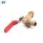 BT2005 good market brass bibcock blackmer pump tap