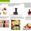 Multifunction Kitchen appliances 2 in 1 vegetable Slicer and frozen fruit maker frozen dessert maker ice cream maker