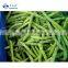 Sinocharm Xiamen  L7-13cm Frozen Green Beans IQF Whole Green Beans