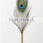 Craft Real Peacock Feather Pen For Handmade Gift