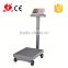 500kg 200g Hot Sale Parts of Stainless Steel Platform Balance Scale