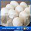 2016 hot sales tray for 30 eggs