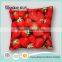 Cotton Orange Fruit Home Decoration Car Seat Pillow Case Cushion Pillow Covers