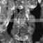 magnifying promotional egyptian style charming decorative crystal chain drop wall sconce hanging mounted chandelier