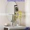 Decorative Bevelled Edge Frameless Mirror Glass in irregular shapes for home and commercial decoration applications