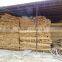 Hot sale pine wood sawn timber in low price Pine Wood