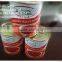 easy open can lid tomato paste with 850g