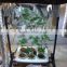 600D mylar fabric customized hydroponic systems grow tent wholesale grow tents grow tent indoor