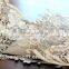 Worth buying paper making greeting freshers party invitation cards wholesale