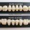 dental acrylic resin teeth