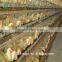Poultry Farm Day Old Layer Chicks Cage
