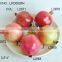 2015 New Artificial Fake Fruits Artificial Polyfoam Pomegranate for Display House Decoration