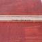 21mm thickness eucalyptus core film faced plywood