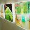 Color 1-20 MM Fluorescent Acrylic Sheet