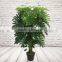 Office Decorative Artificial Taro Bonsai, Plastic Evegreen Plants