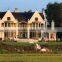 Palatial architecture external wall decoration hand carved stone columns