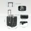 50W professional powered amplified trolley speakers system with built-in party light show