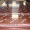 formwork system panel/concrete plywood/construction film faced plywood