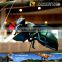 MY Dino-C061 Artificial realistic fiberglass fly sculpture