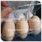 2015 wholesale factory the tray of 6 holes for chiken egg