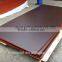 Linyi 3mm film faced Plywood factory