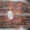 Frozen Illex Argentina Squid 100-150g
