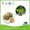 100% top natural ginkgo biloba leaf extract p.e. powder