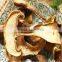 ISO HACCP certificated dried boletus edulis from 2015 crop