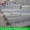 Galvanized wire mesh greenhouse rolling benches