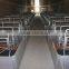 ^1.2*3.6m Pig farming equipment galvanized gestation stall /single size stall for sows