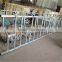 Farm Hot Dipped Galvanized Steel Cow Head Lock For 7-12 Months Old Cows