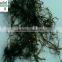 fish meal of sargassum powder for aquatic feed