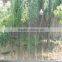 Popular farm 16mm dripping tapes for irrigation