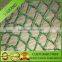 Plastic green olive net
